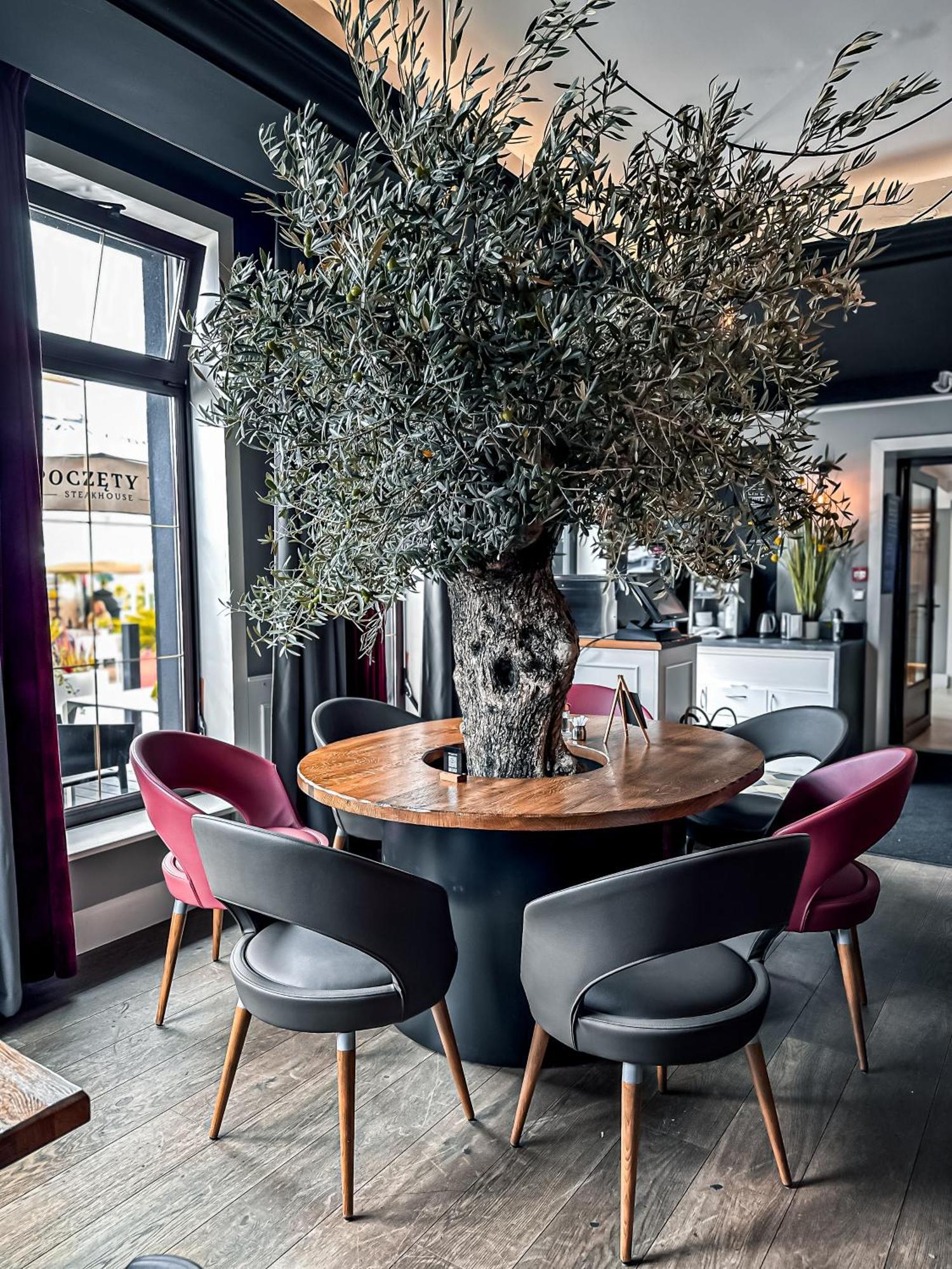 Willa Spa Scaliano Kudowa-Zdrój Exteriör bild